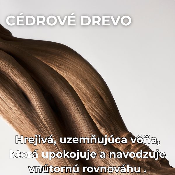 cedrove drevo